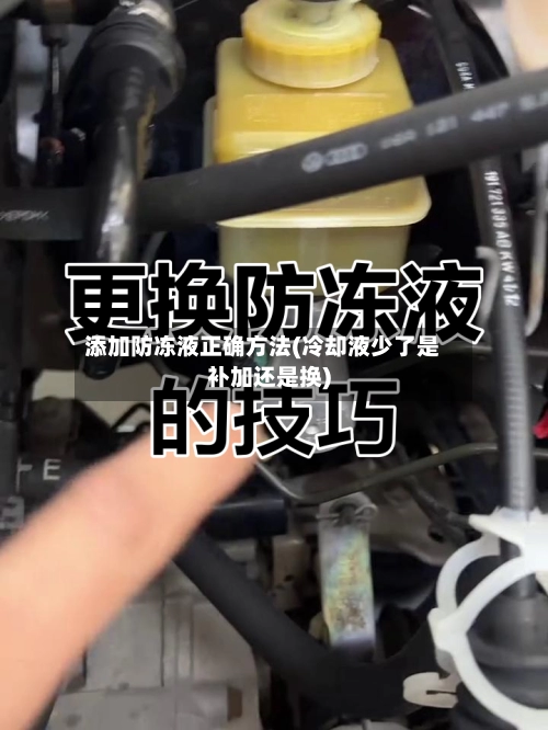 添加防冻液正确方法(冷却液少了是补加还是换)